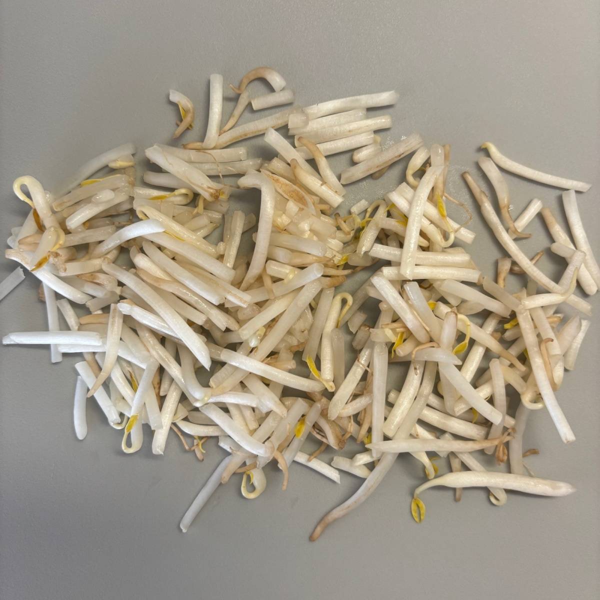 JAグループ公式の「もやしとひき肉入りオムレツ」のレシピ