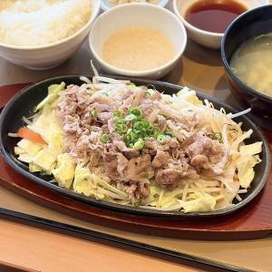 はい、大大大優勝。【やよい軒】の期間限定メニューが最高にウマいよ