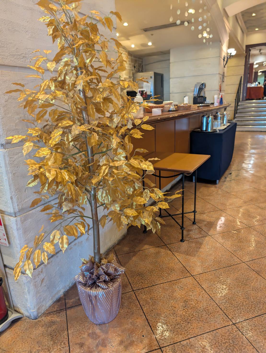 エルコラーノ店内