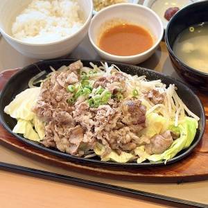 もう当分【やよい軒】に通います。期間限定メニューが本気でウマいよ