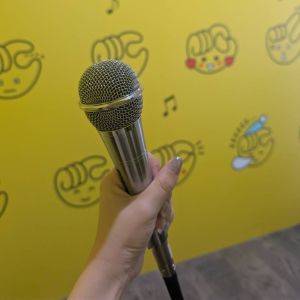 音漏れは大丈夫……？カラオケができる「チョコザップ」に行ってみた