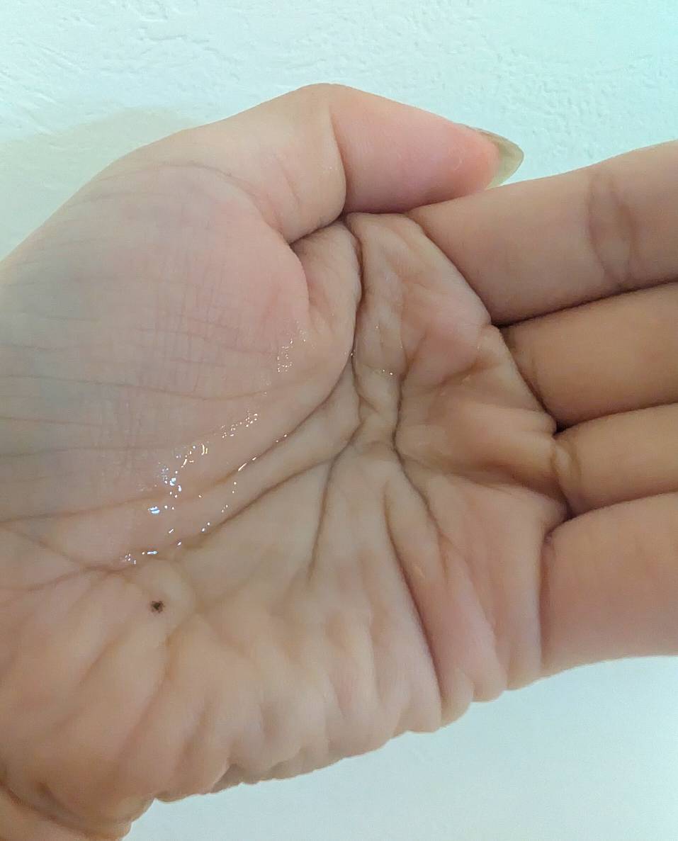 Mitea ORGANIC クレンジングセラムオイルを手に取ったところ