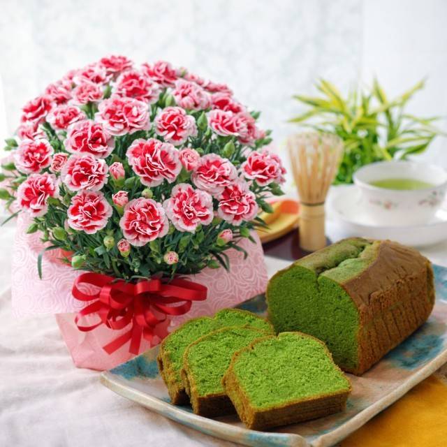Fleur Town 吉本花城園 母の日 花とセット 抹茶チーズケーキとカーネーション