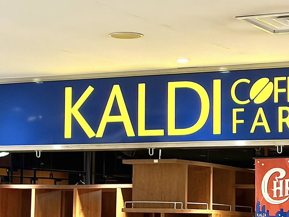 頼れる一品、みつけた!