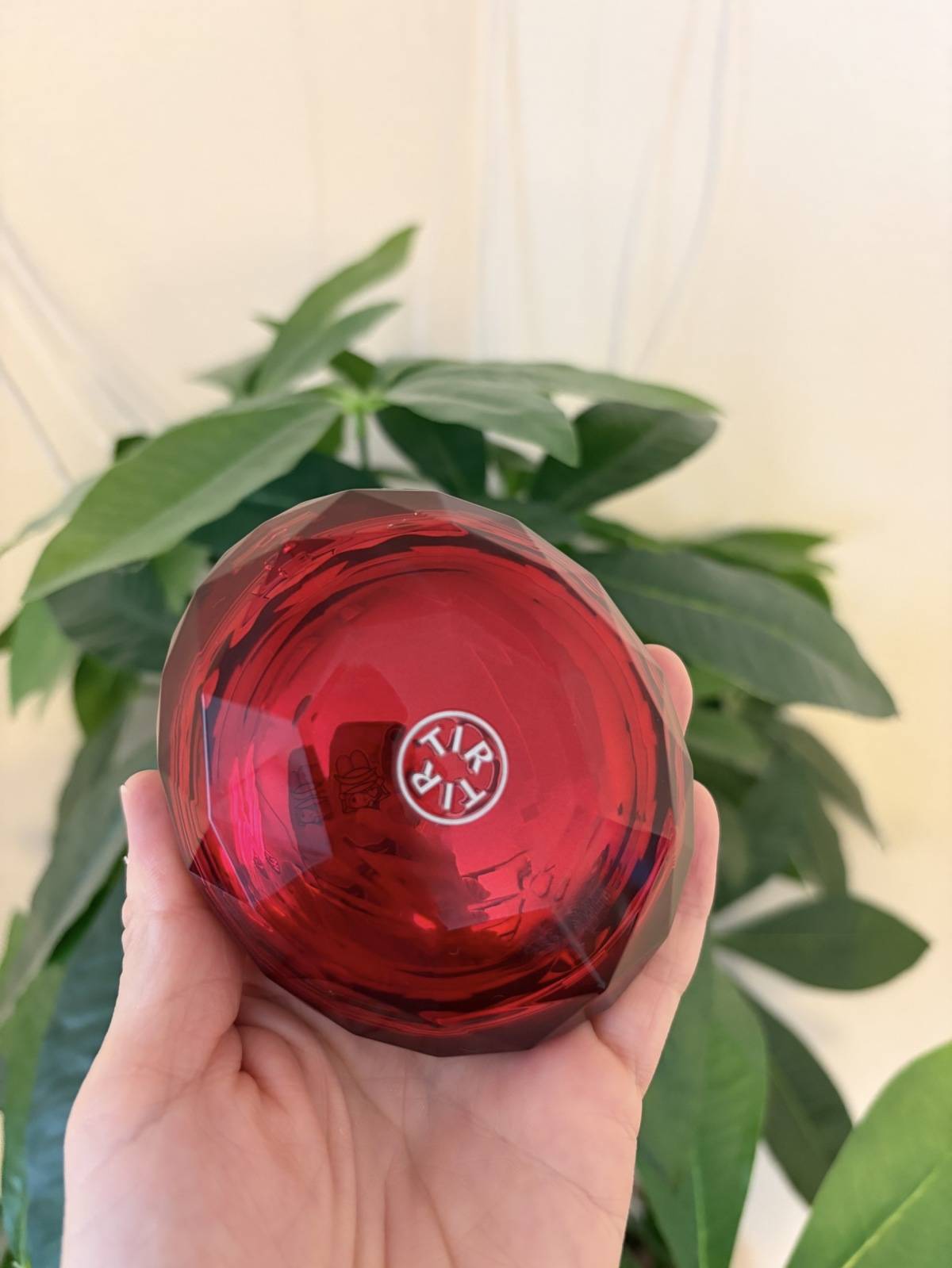 マスクフィットルビーメッシュクッション