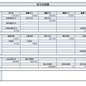 【リアル給与明細】38歳、介護職。転職せず副業で収入を増やしたい……！5万円は実現可能ですか？