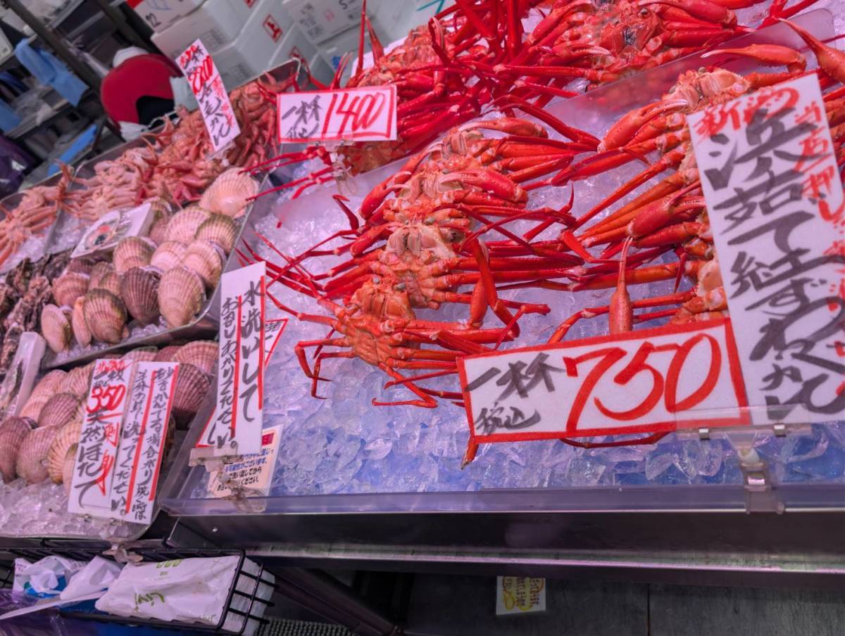 角上魚類の売り場