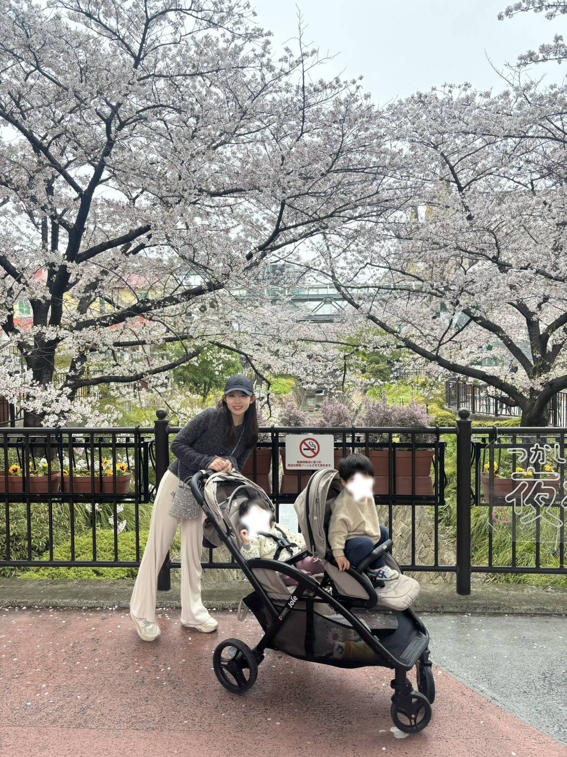 2人の子どもが乗ったベビーカーを押す女性