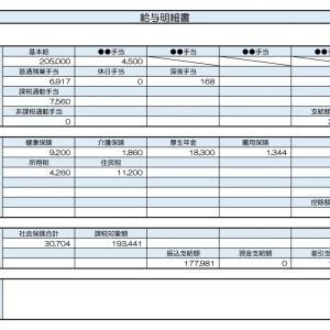 【リアル給与明細】40歳、カスタマーサポート。家計難だけど今の仕事を続けたい。手立てはある……？