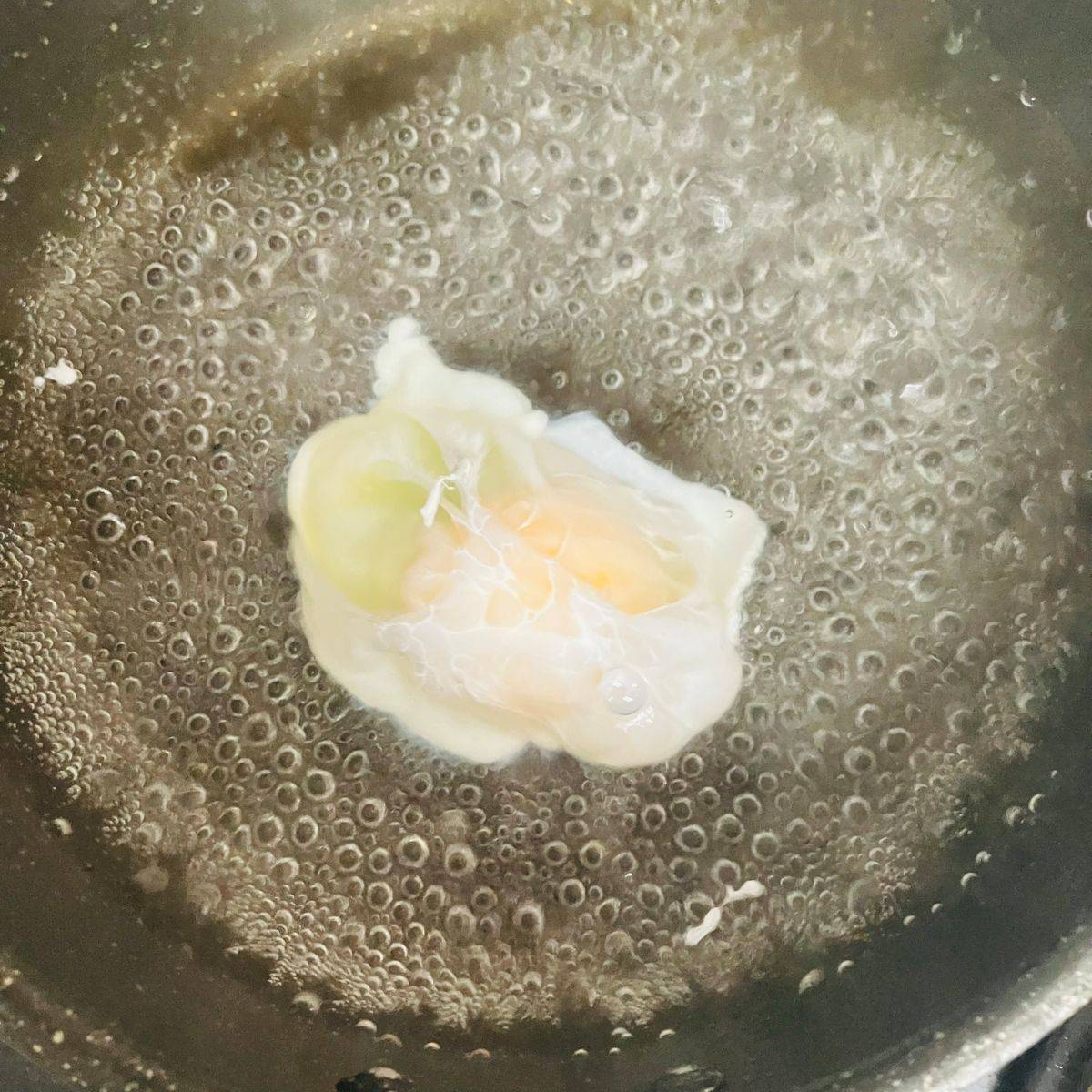 JA全農公式の「薬味とたまごの味噌汁」のレシピ