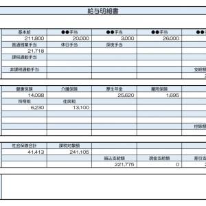 【リアル給与明細】システムエンジニア。収入を5万円上げたいけど、働きやすい会社を離れたくない……！