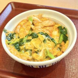 「4/15発売」【なか卯】期間限定で今話題の大人気メニューが発売中！本音レビューしてみた