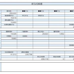 【リアル給与明細】介護職。キャリアアップのための独立は正しい判断……？