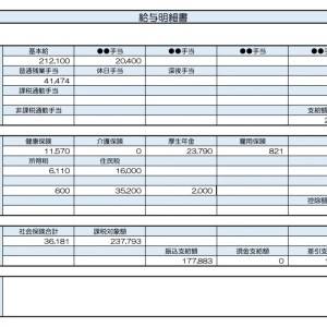 【リアル給与明細】システムエンジニア。収入を上げたい……！独学で得た知識は転職で役立ちますか？