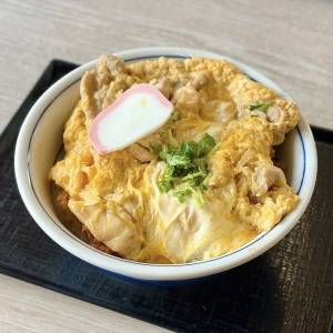 「4/28発売」【かつや】期間限定の新作丼メニューが登場！正直レビューしてみた
