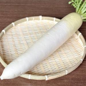 スーパーで「大根」買ったらまずこれやって。これやるだけでちょっとトクするよ