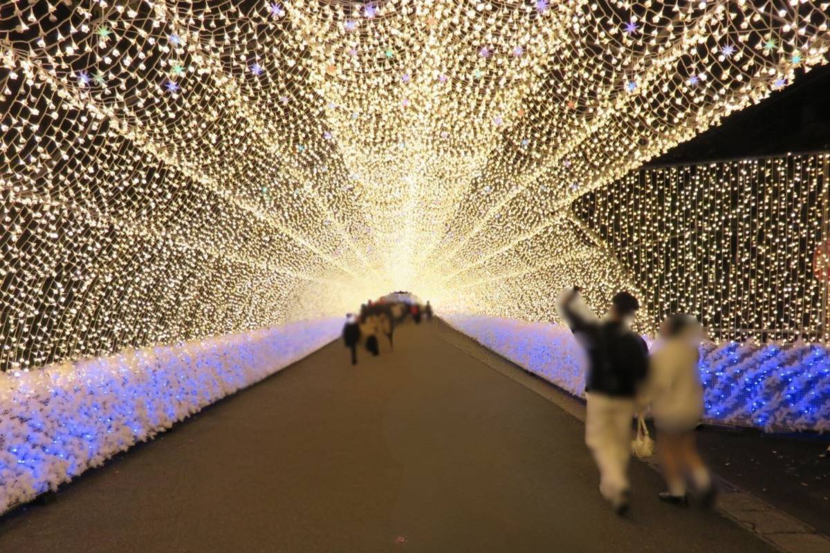 なばなの里　光のトンネル　「華回廊」