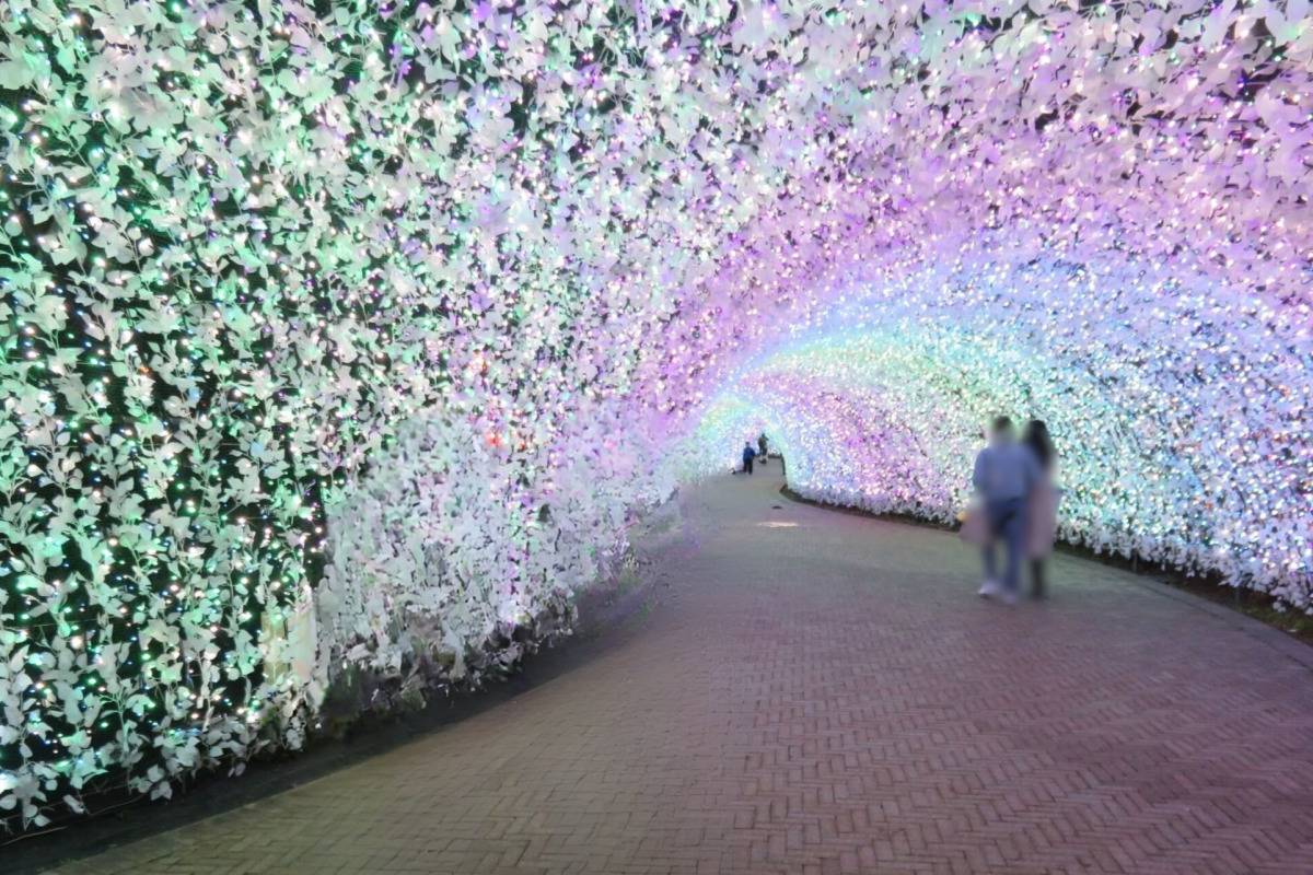 なばなの里　光のトンネル　「波」