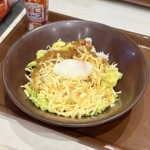 「4/28発売」【すき家】から大人気の季節限定メニューが発売中！本音レビューしてみた