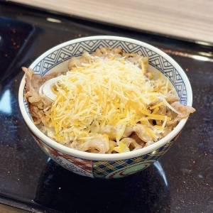 【吉野家】何度もリピートしたくなる人気の丼メニュー！本音レビューしてみた