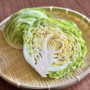 【有益ネタ】今まで損してたかも……。「春キャベツ」の正しい選び方