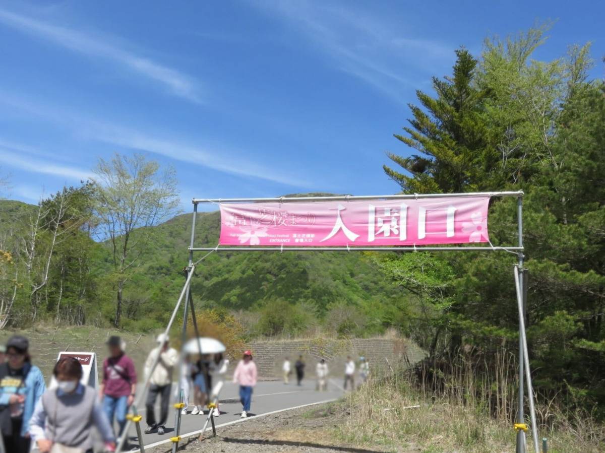 駐車場から会場までの道のり