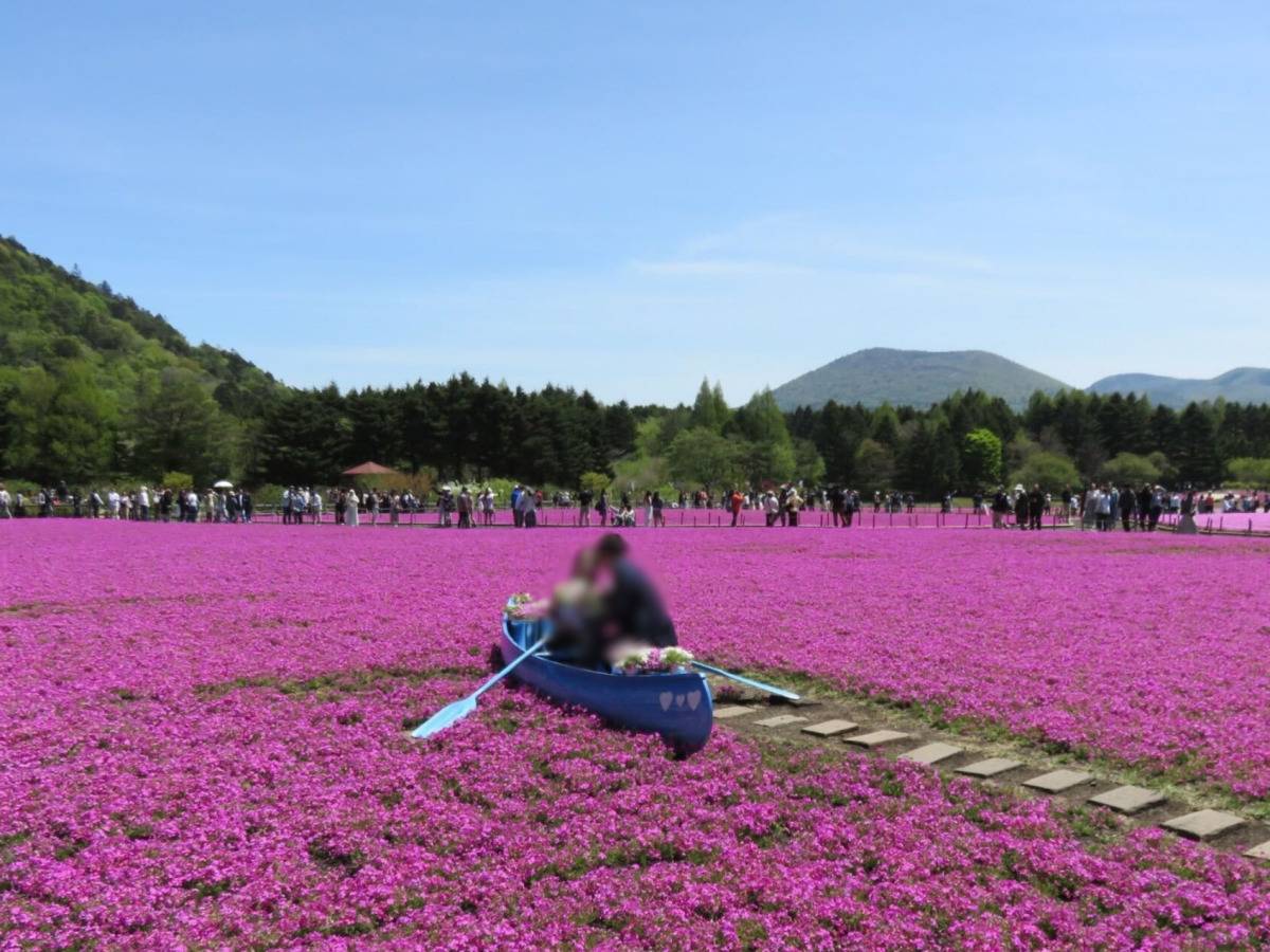 芝桜の真ん中に船