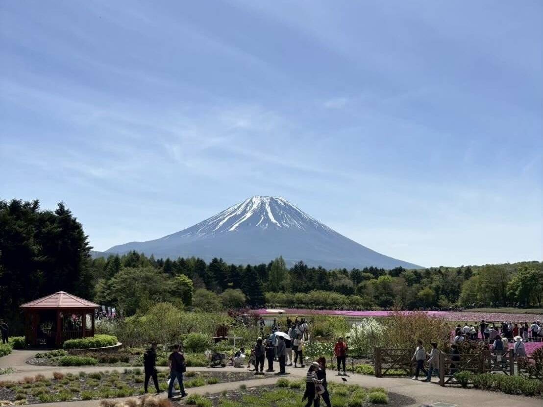 どこを写しても富士山