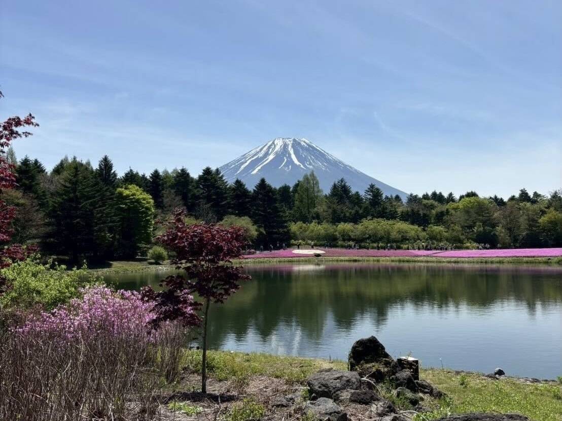 富士山と池