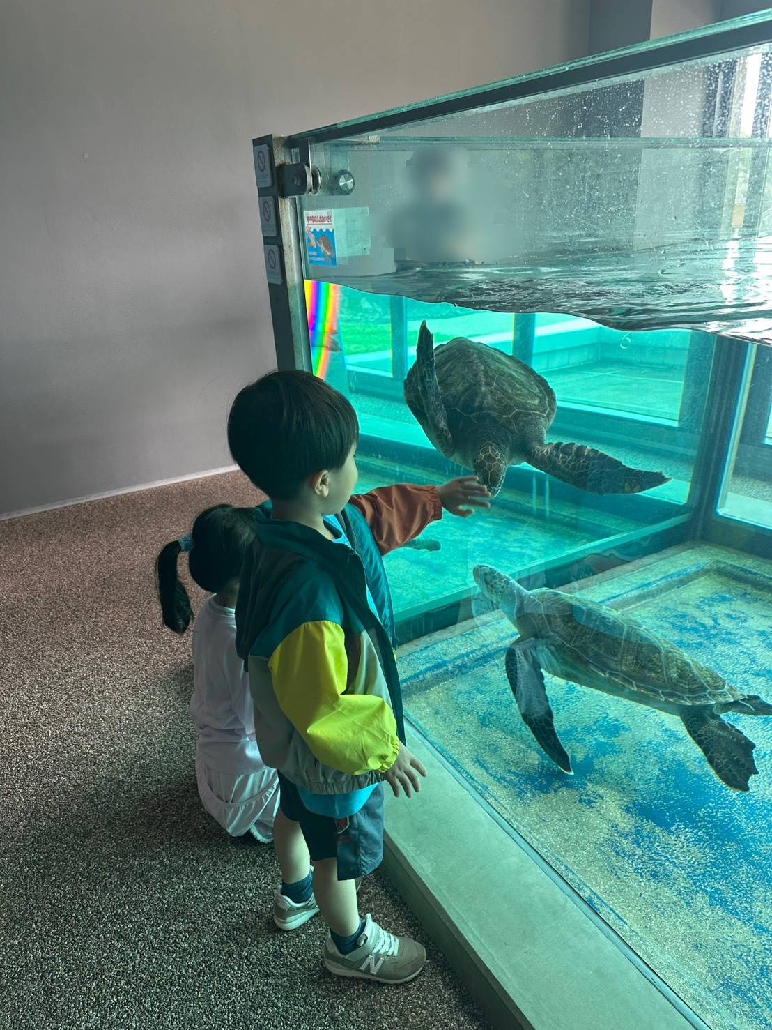 水槽を見ている男の子と女の子