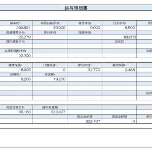 【リアル給与明細】看護師。収入を増やすためには起業もアリでしょうか……？