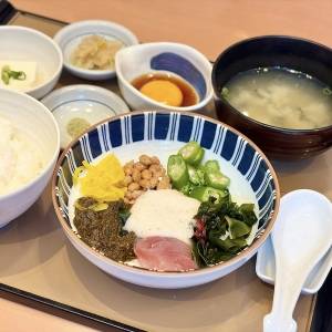 【やよい軒】毎年大人気の季節限定メニューが発売中！実際に食べてみた正直な感想