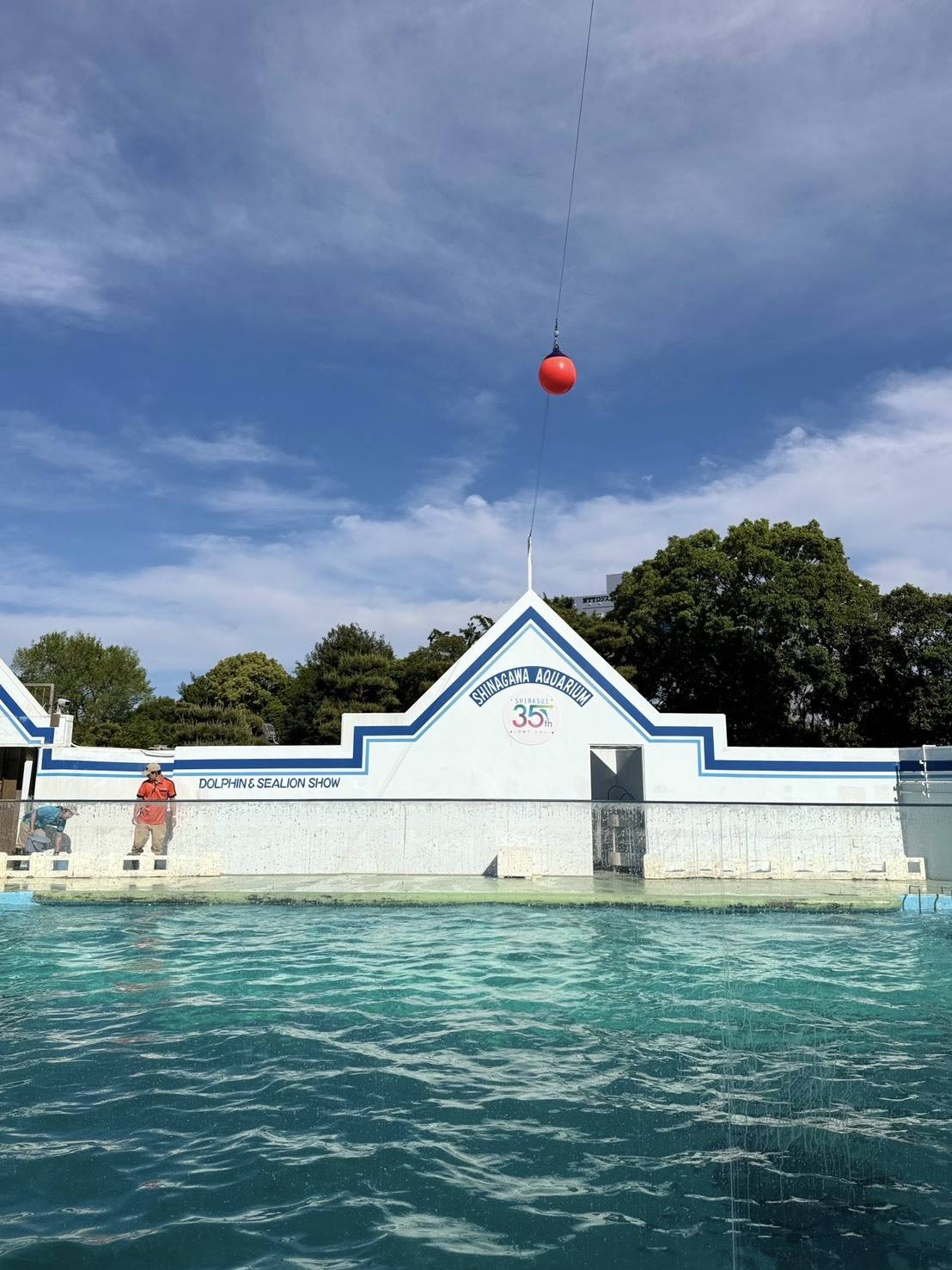 しながわ水族館のイルカプール