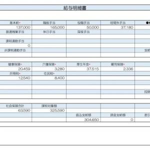 【リアル給与明細】58歳、事務職。社会保険料が高すぎる……。下げる方法はある？