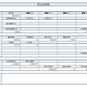 【リアル給与明細】事務職。手取りを3万円ほど増やしたい……。効率がいいのは単発バイト？在宅ワーク？