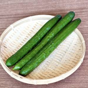 もっと早く知りたかった……。八百屋さんに聞いた「きゅうり」の正しい選び方