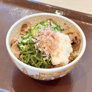  すき家の「山かけめかぶオクラ牛丼」 