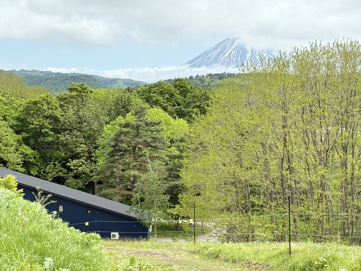 羊蹄山も見えます