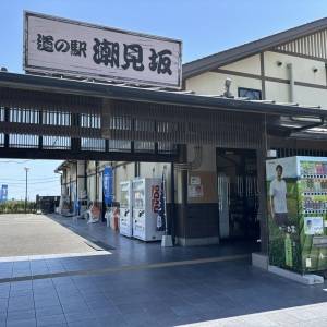 【2026静岡】これは寄らなきゃ損。ドライブの疲れが吹き飛ぶ癒しスポット