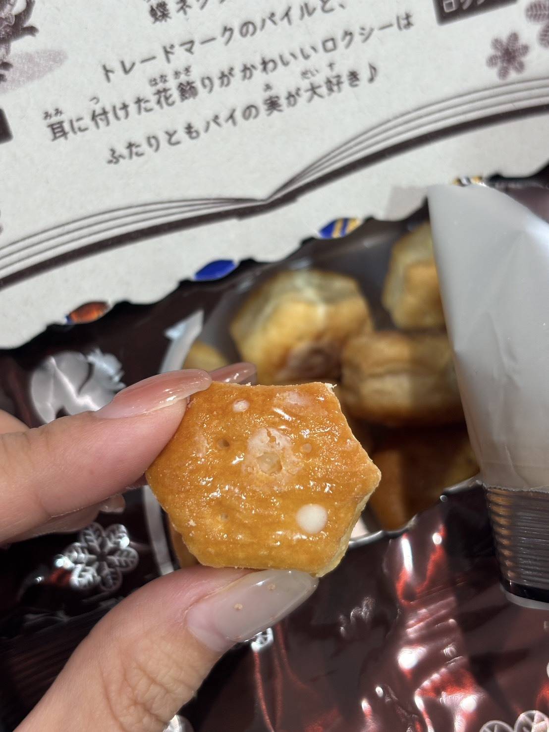 とろリッチパイの実