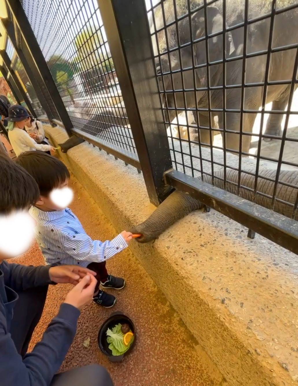姫路セントラルパーク