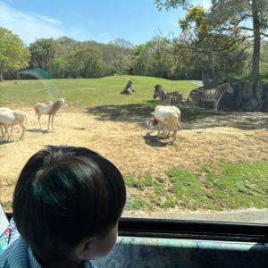 【兵庫県】サファリに大興奮！家族で楽しめる「姫路セントラルパーク」