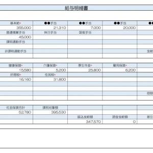 【リアル給与明細】営業職の男性。あと3万円収入を増やしたい。休日だけでできる副業はある？