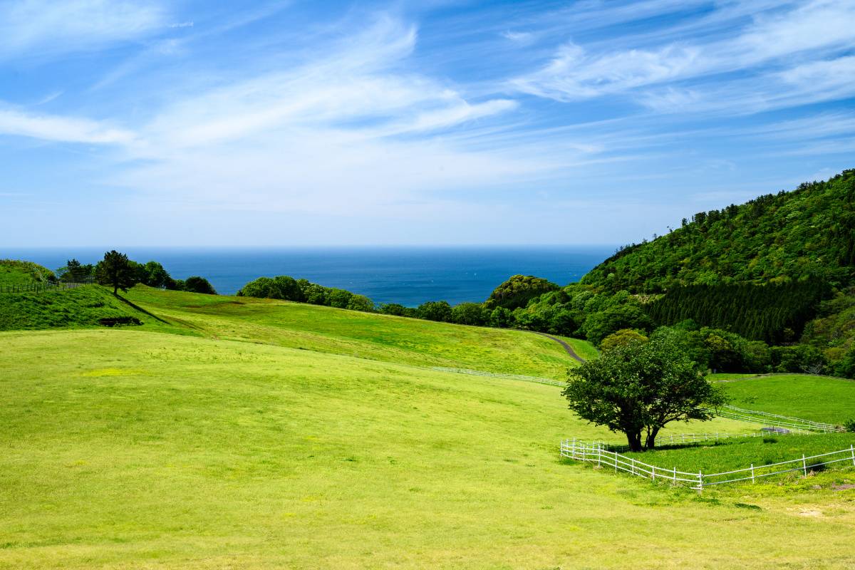 関西の避暑地 碇高原