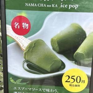 【2026京都】「抹茶好きを仕留めにかかる一品」夏しか買えない濃厚すぎる限定アイス