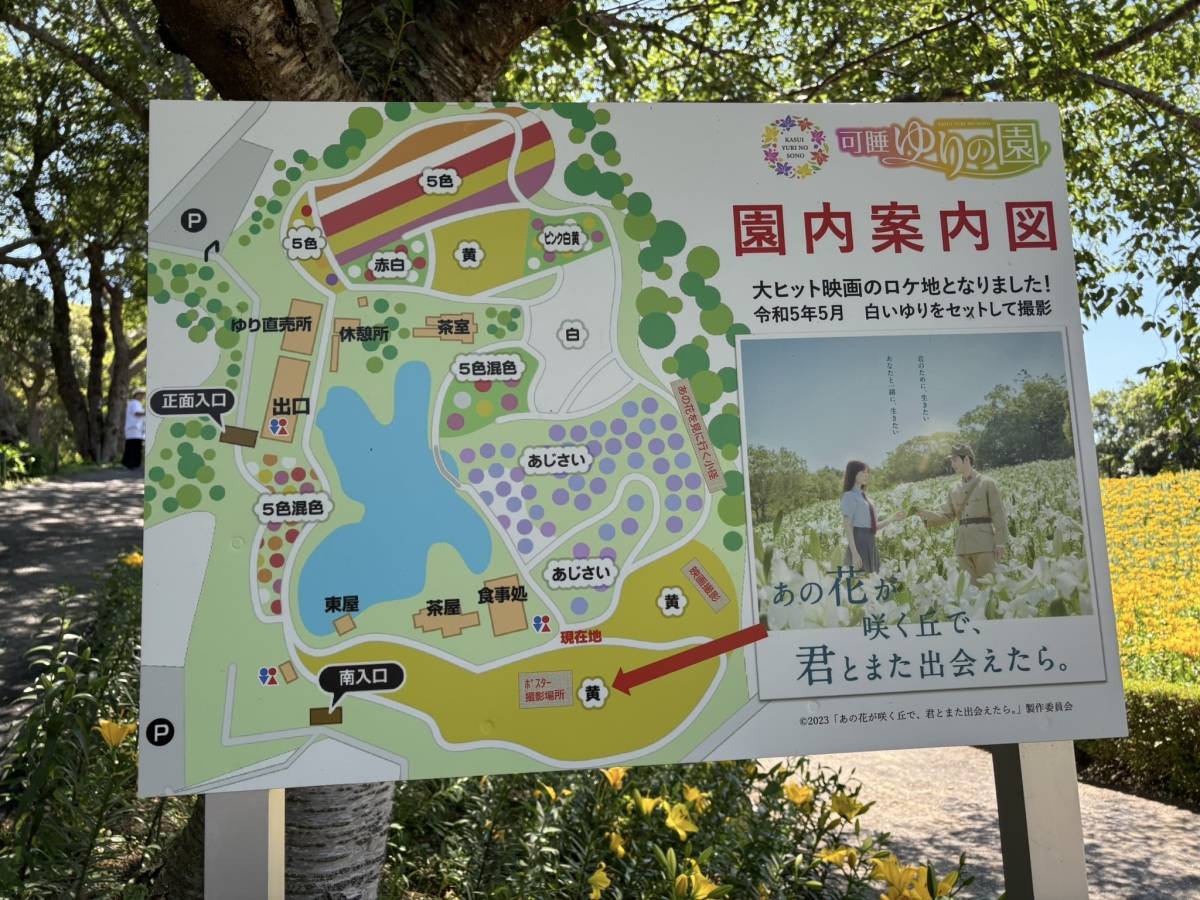可睡ゆりの園　園内案内図