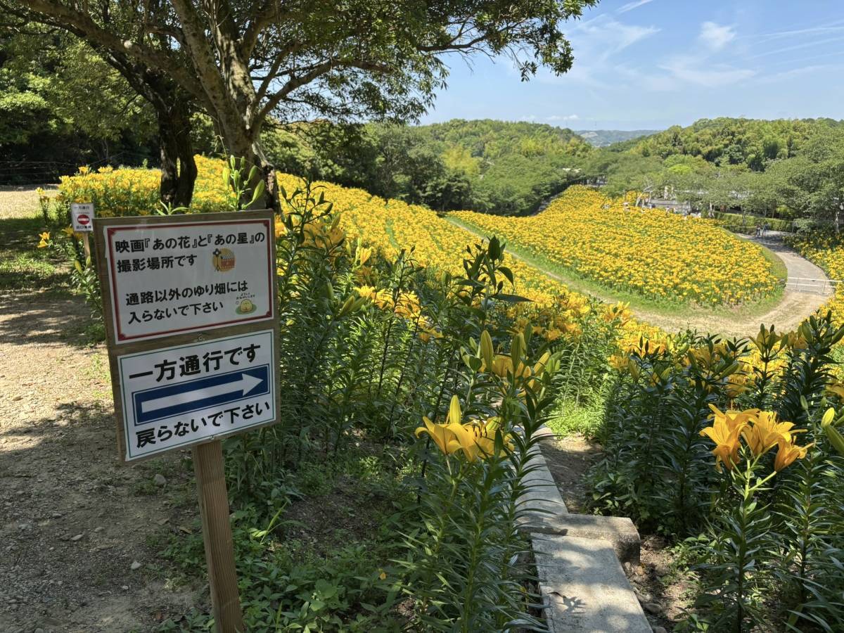 あの花　あの星　ロケ地
