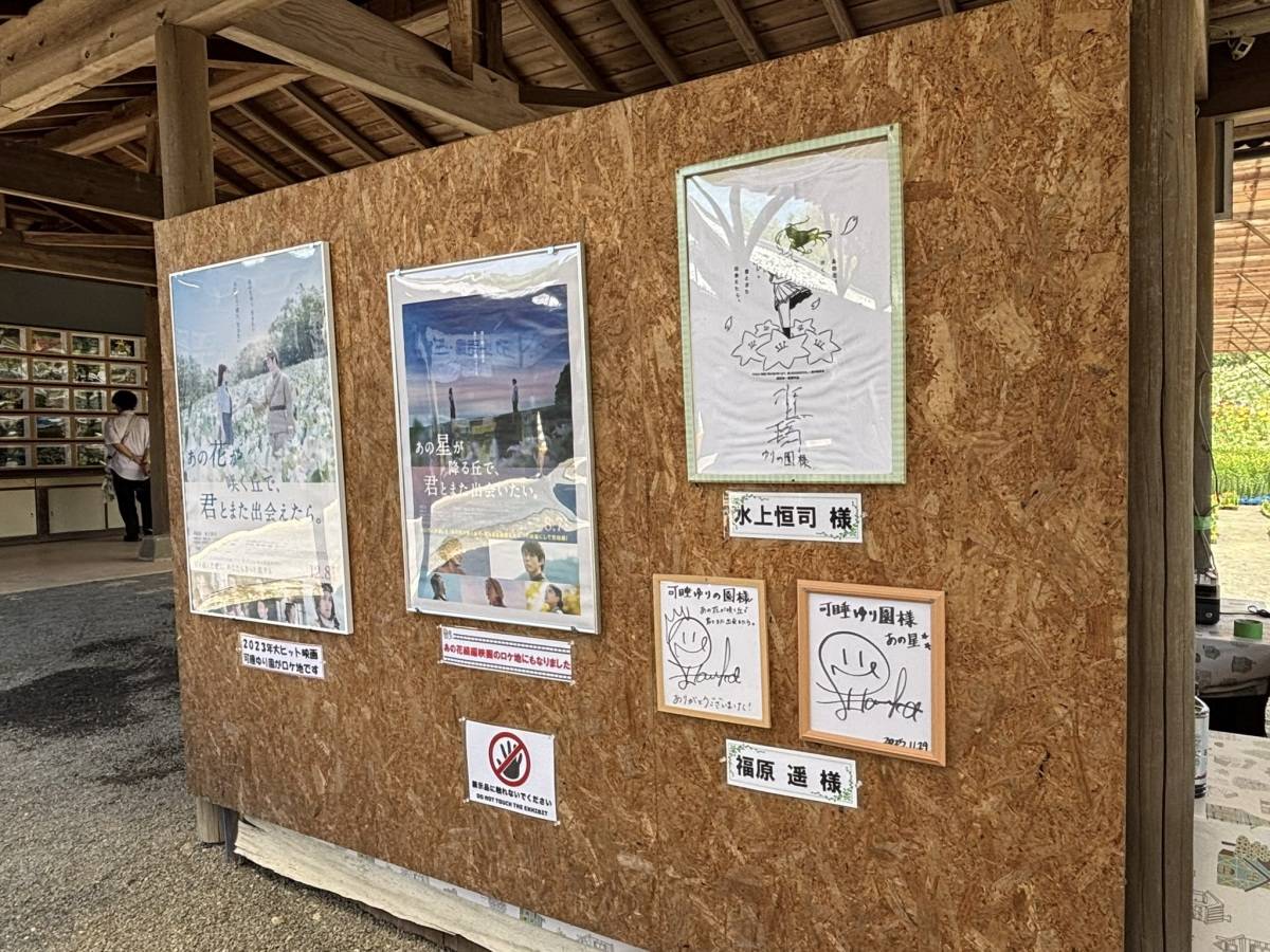 あの花　サイン　水上恒司　福原遥