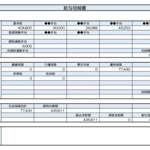 【リアル給与明細】42歳、公務員。管理職になって給料を上げたいけど、仕事の負担は増やしたくない……。