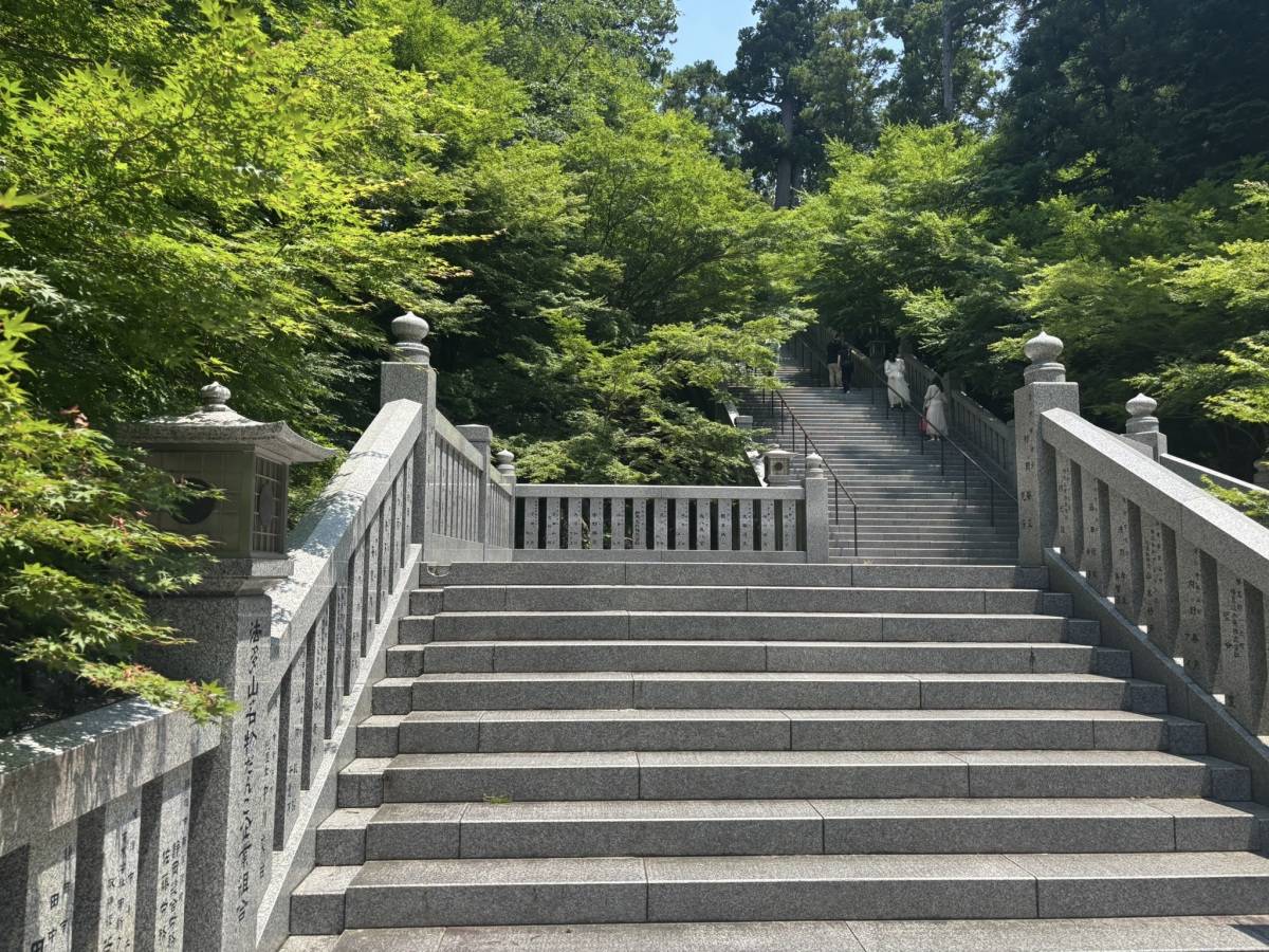 法多山　階段　新緑